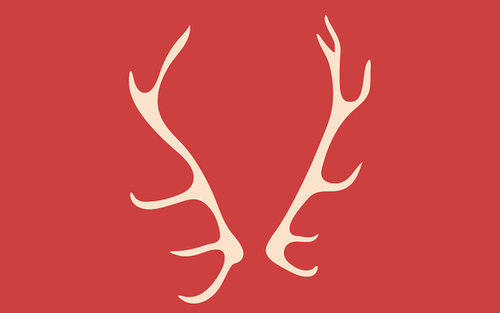 Antlers by Olive Antlers by Olive