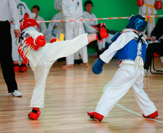 Kid Sport, Taekwondo Kid Sport, Taekwondo