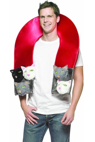 Pussy Magnet Pussy Magnet