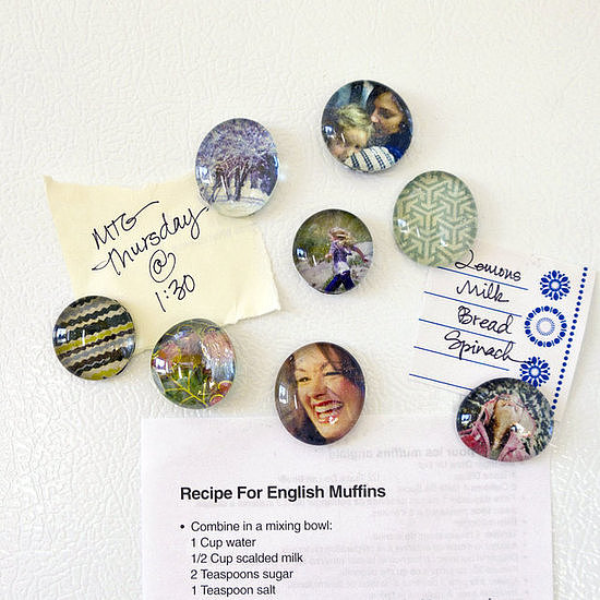 Picture Magnets Picture Magnets