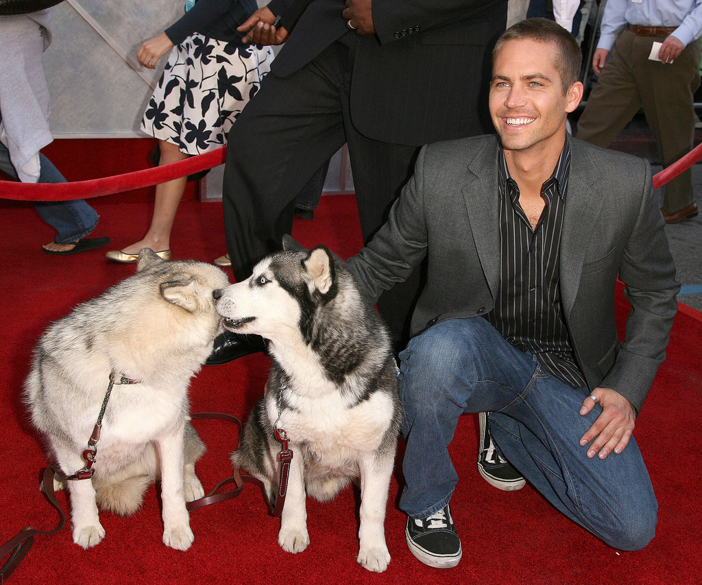 Paul Walker, Huskie dog at the permier of Eight Below