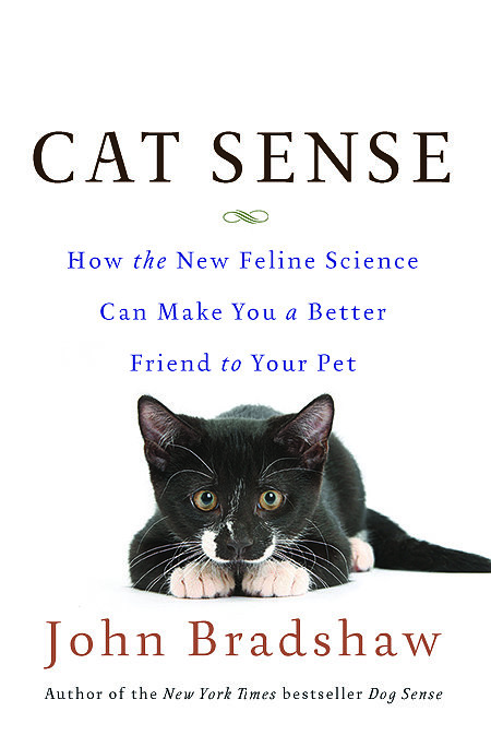 Cat Sense Cat Sense