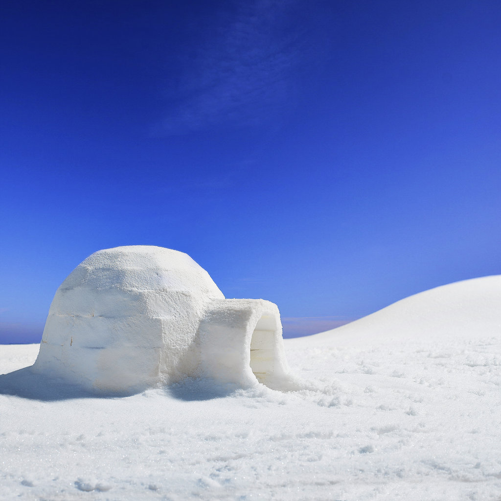 Build an Igloo Build an Igloo