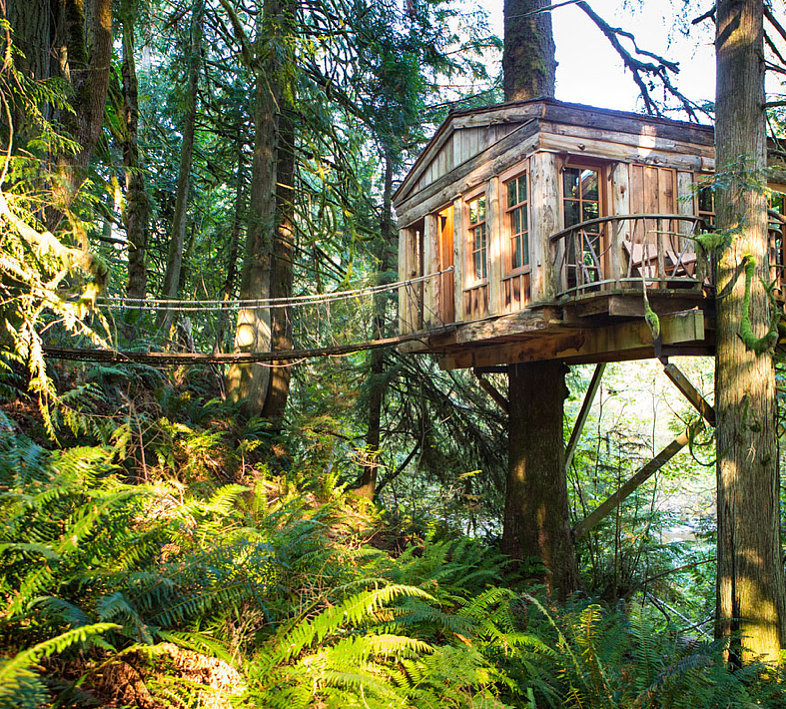 Spend a Night in a Tree House Spend a Night in a Tree House