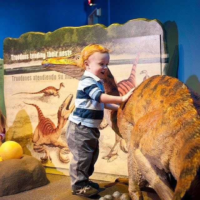Minnesota Children's Museum Minnesota Children's Museum