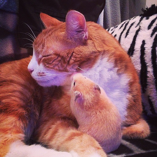 Secrets Make Friends Secrets Make Friends