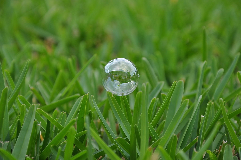 Bubbles Bubbles