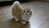 Daily GIFs: March 6, 2014 Daily GIFs: March 6, 2014
