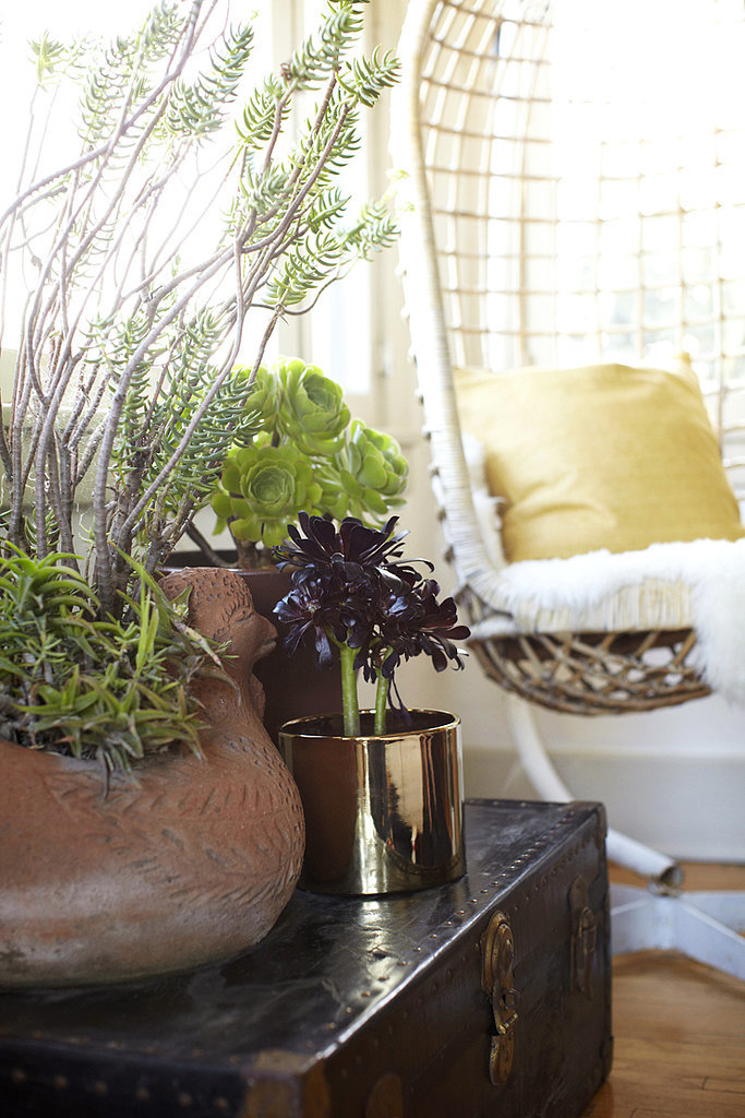 Solution: Low-Maintenance Plants Solution: Low-Maintenance Plants
