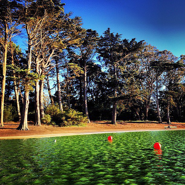 Spend the Day in Golden Gate Park Spend the Day in Golden Gate Park