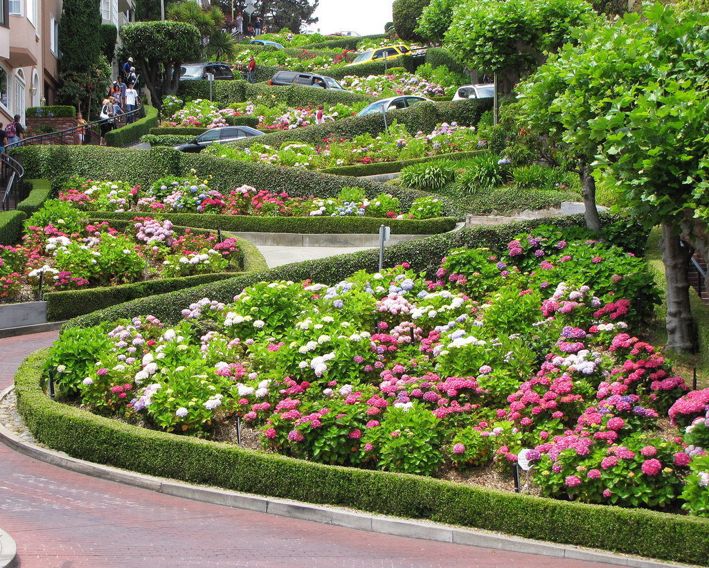 Drive Down Lombard Street Drive Down Lombard Street
