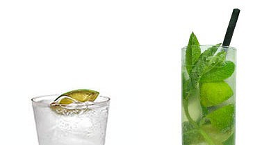 Which Has More Calories: Gin & Tonic or Mojito? Which Has More Calories: Gin & Tonic or Mojito?