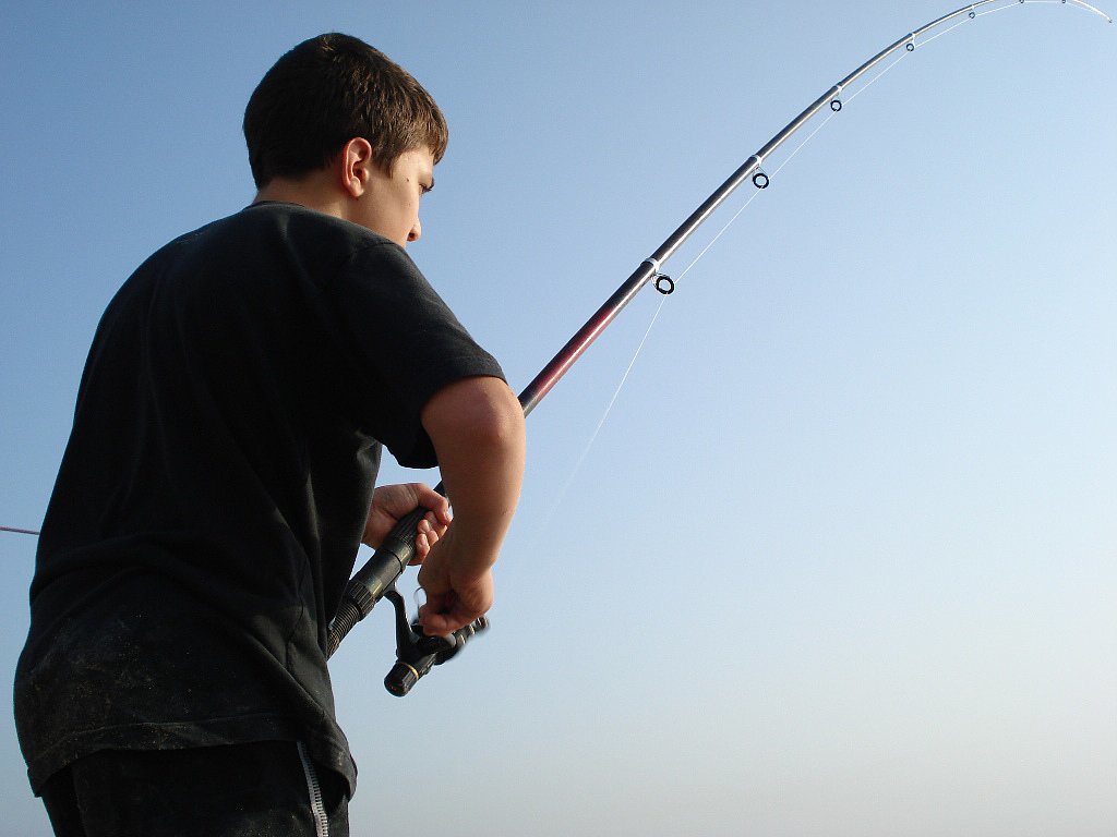 Go Fish Go Fish