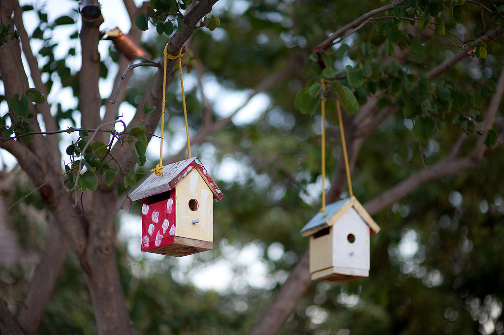 Build a Birdhouse Build a Birdhouse