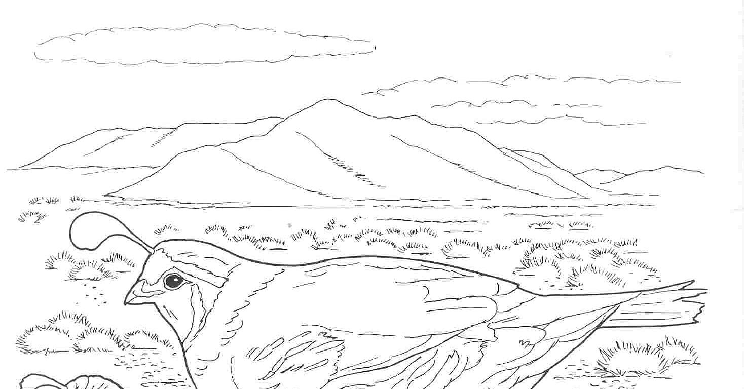 california regions coloring pages - photo #22
