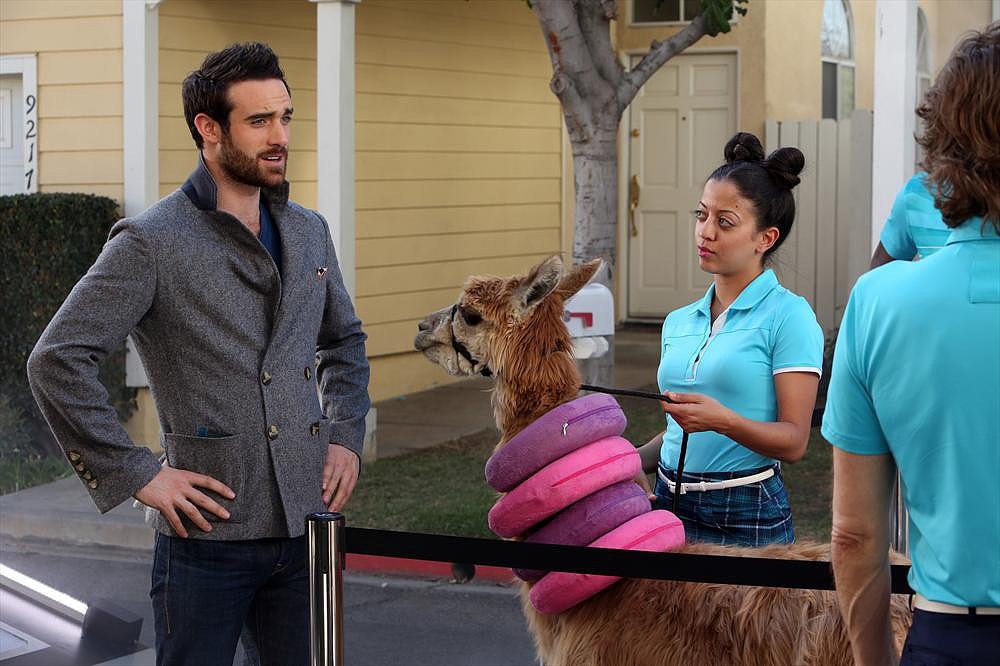 The Neighbors The Neighbors