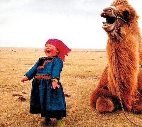 So Happy! So Happy!
