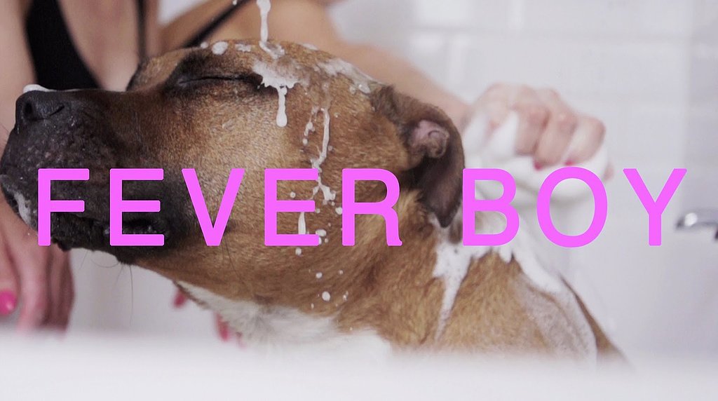 "Fever Boy" by Femme "Fever Boy" by Femme