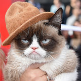 Grumpy Cat at MTV Movie Awards 2014 Grumpy Cat at MTV Movie Awards 2014