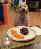 21 Birthday Dogs That Know How to Party 21 Birthday Dogs That Know How to Party