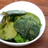 Baked Spinach Chips Baked Spinach Chips