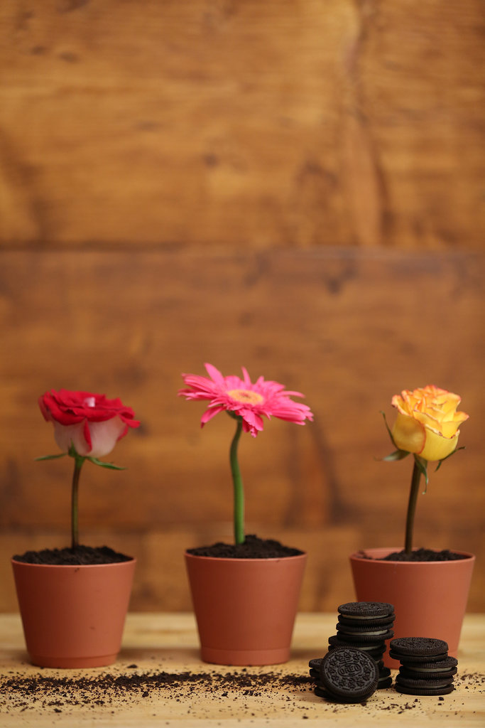 Flower-Pot Desserts Flower-Pot Desserts