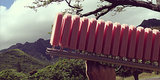 These Hawaiian Popsicles Are Unlike Anything You Can Get Elsewhere These Hawaiian Popsicles Are Unlike Anything You Can Get Elsewhere