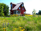 Unleash Your Guerilla Gardener (7 photos) Unleash Your Guerilla Gardener (7 photos)