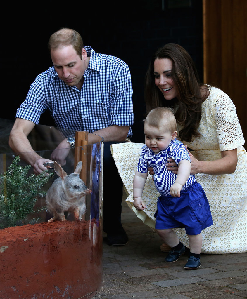 William, Kate, and George shared a cute family moment at the Taronga Zoo in Australia in April 2014. William, Kate, and George shared a cute family moment at the Taronga Zoo in Australia in April 2014.