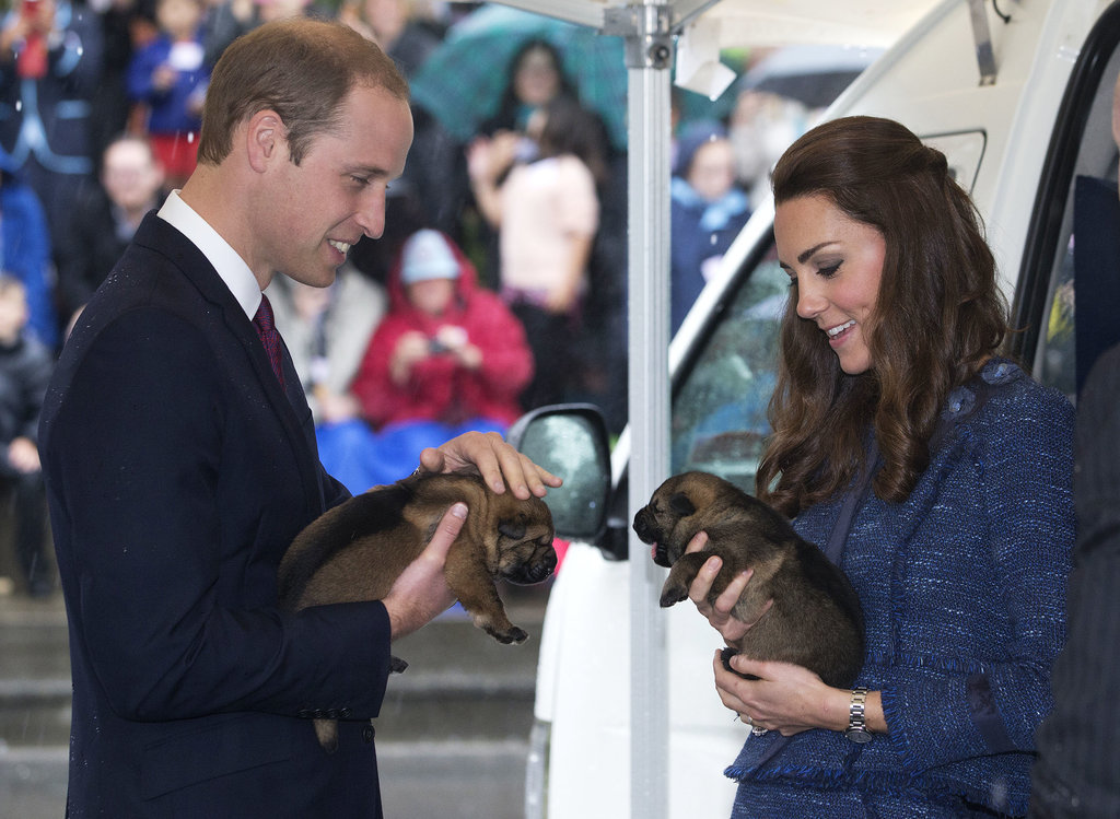 Will and Kate held puppies during their April 2014 trip to Wellington, New Zealand.
Will and Kate held puppies during their April 2014 trip to Wellington, New Zealand.