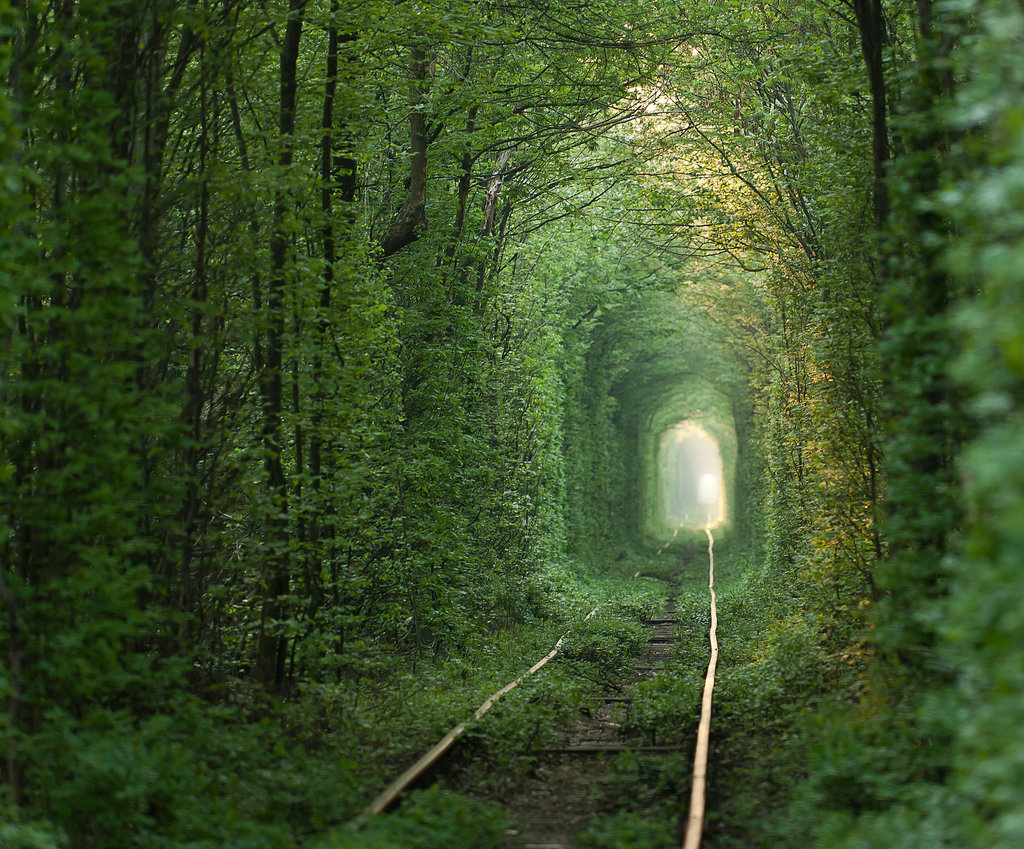 Hold Hands With a Sweetheart to Cross the Tunnel of Love in Ukraine Hold Hands With a Sweetheart to Cross the Tunnel of Love in Ukraine