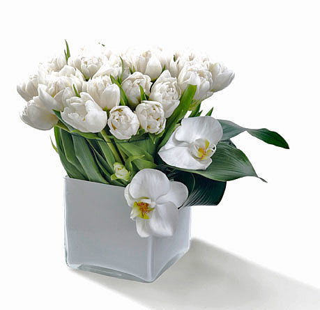 Image Image