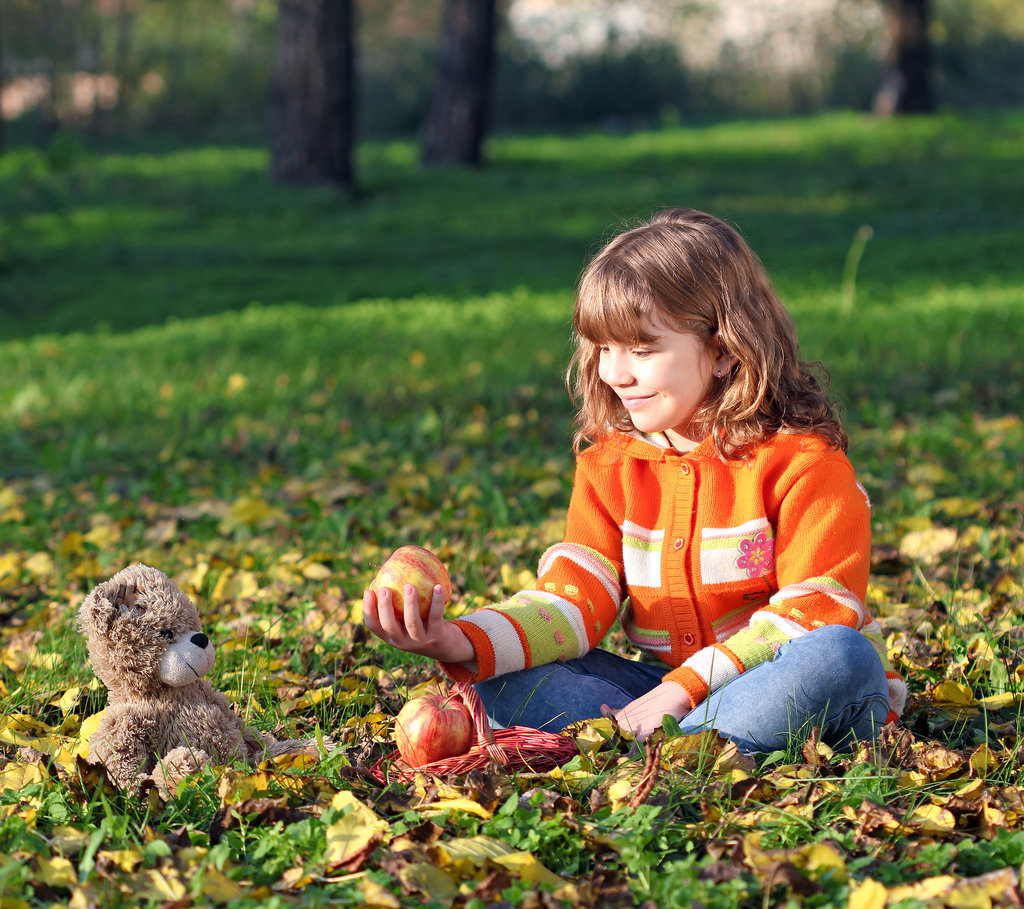 Enjoy a Teddy Bear Picnic Enjoy a Teddy Bear Picnic