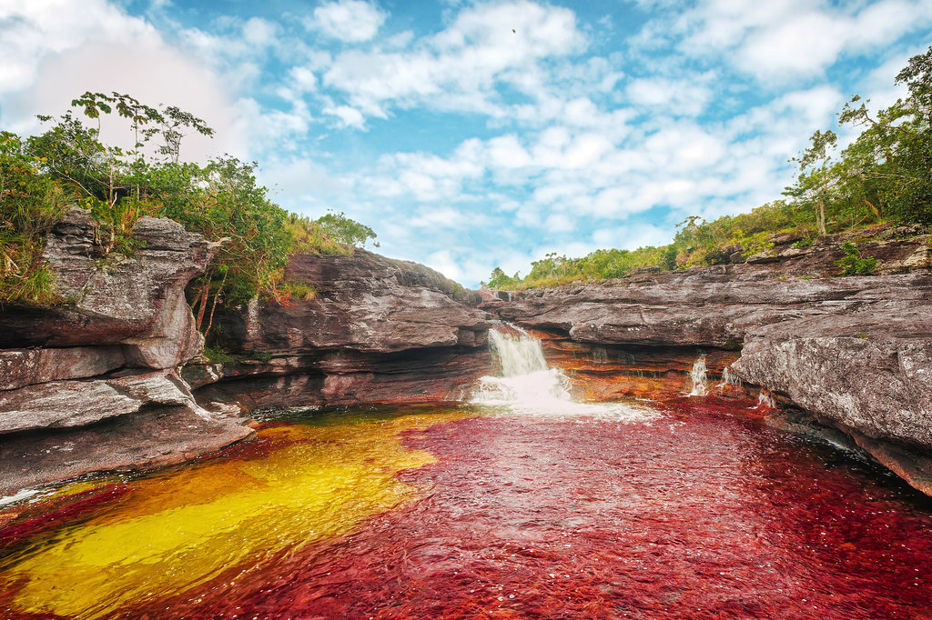 Caño Cristales, Colombia Caño Cristales, Colombia