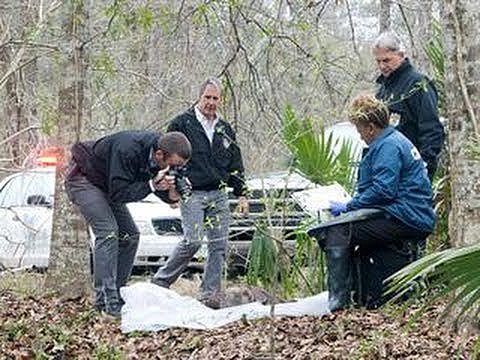 Watch the Trailer For NCIS: New Orleans Watch the Trailer For NCIS: New Orleans