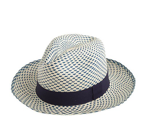 J.Crew Panama Hat J.Crew Panama Hat