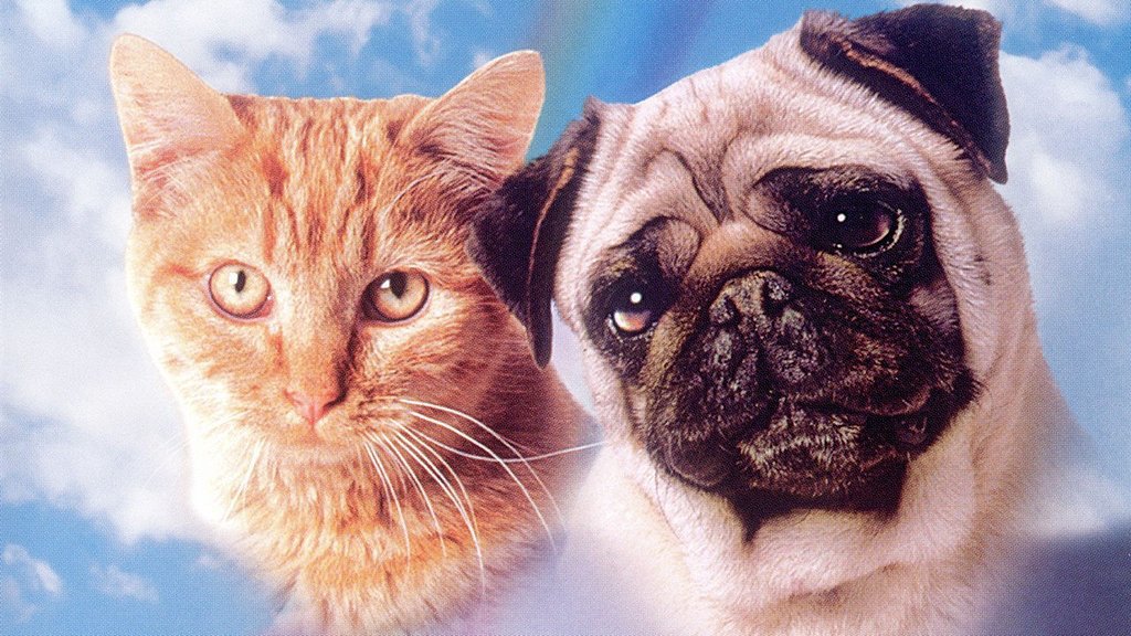 The Adventures of Milo and Otis The Adventures of Milo and Otis