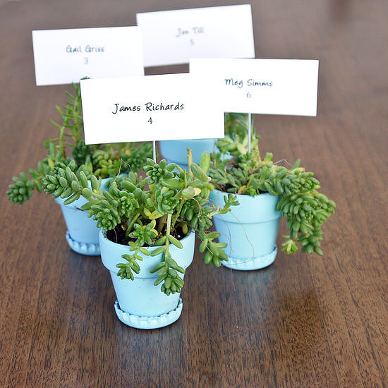 Succulent Favors Succulent Favors
