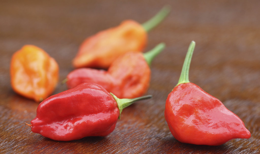 Peppers Peppers