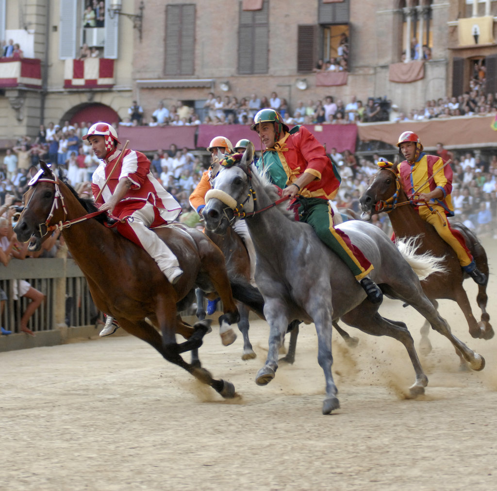 Attend the Palio Horse Race in Siena, Italy Attend the Palio Horse Race in Siena, Italy
