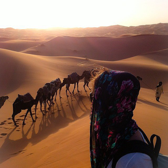 Explore the Sahara Desert Explore the Sahara Desert