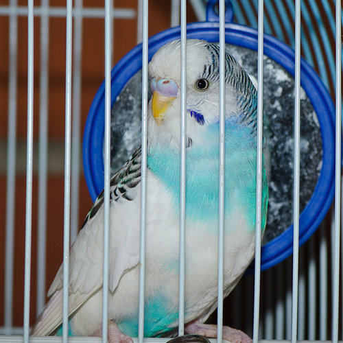 Image Image