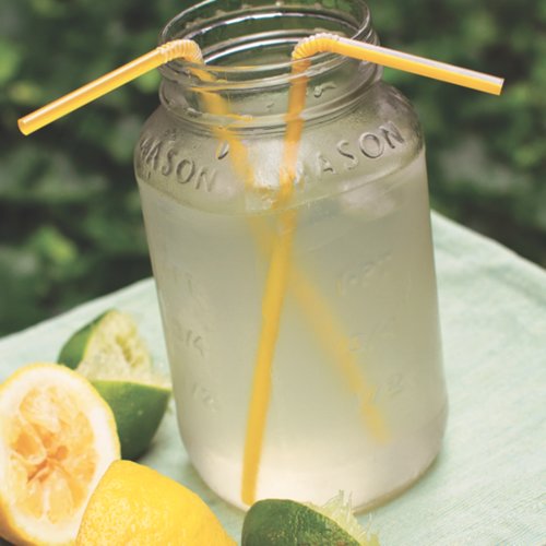 Lemon-Lime Sports Ade Lemon-Lime Sports Ade