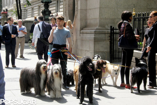 We Don't Know What Daniel Radcliffe Is Doing, but We Like It We Don't Know What Daniel Radcliffe Is Doing, but We Like It