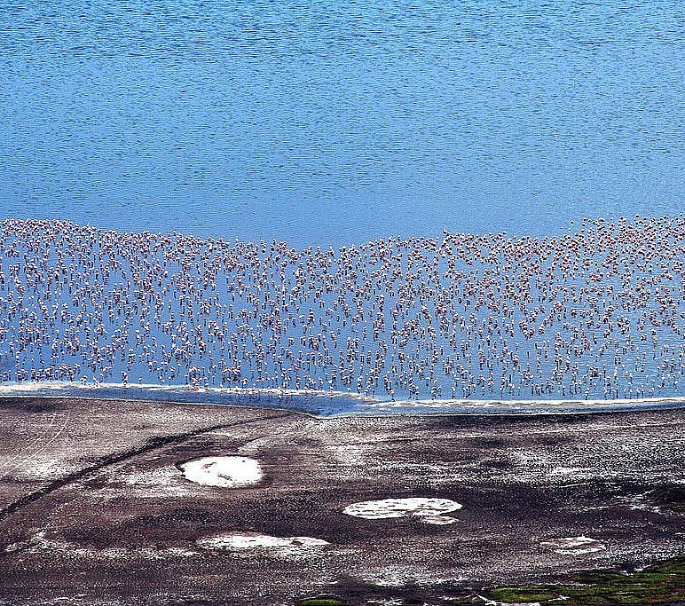 Lake Nakuru, Kenya Lake Nakuru, Kenya