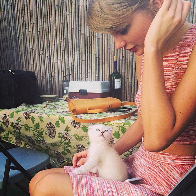 Taylor Swift Taylor Swift