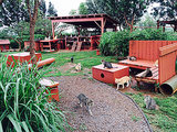 Hawaii's Amazing Cat Sanctuary Hawaii's Amazing Cat Sanctuary