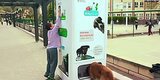 This Genius Machine Feeds Stray Dogs In Exchange For Recycled Bottles This Genius Machine Feeds Stray Dogs In Exchange For Recycled Bottles