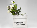 Meet the Law Student Putting Fashion Brands in Their Place Meet the Law Student Putting Fashion Brands in Their Place