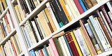What's Your Book Shelfie Style? What's Your Book Shelfie Style?